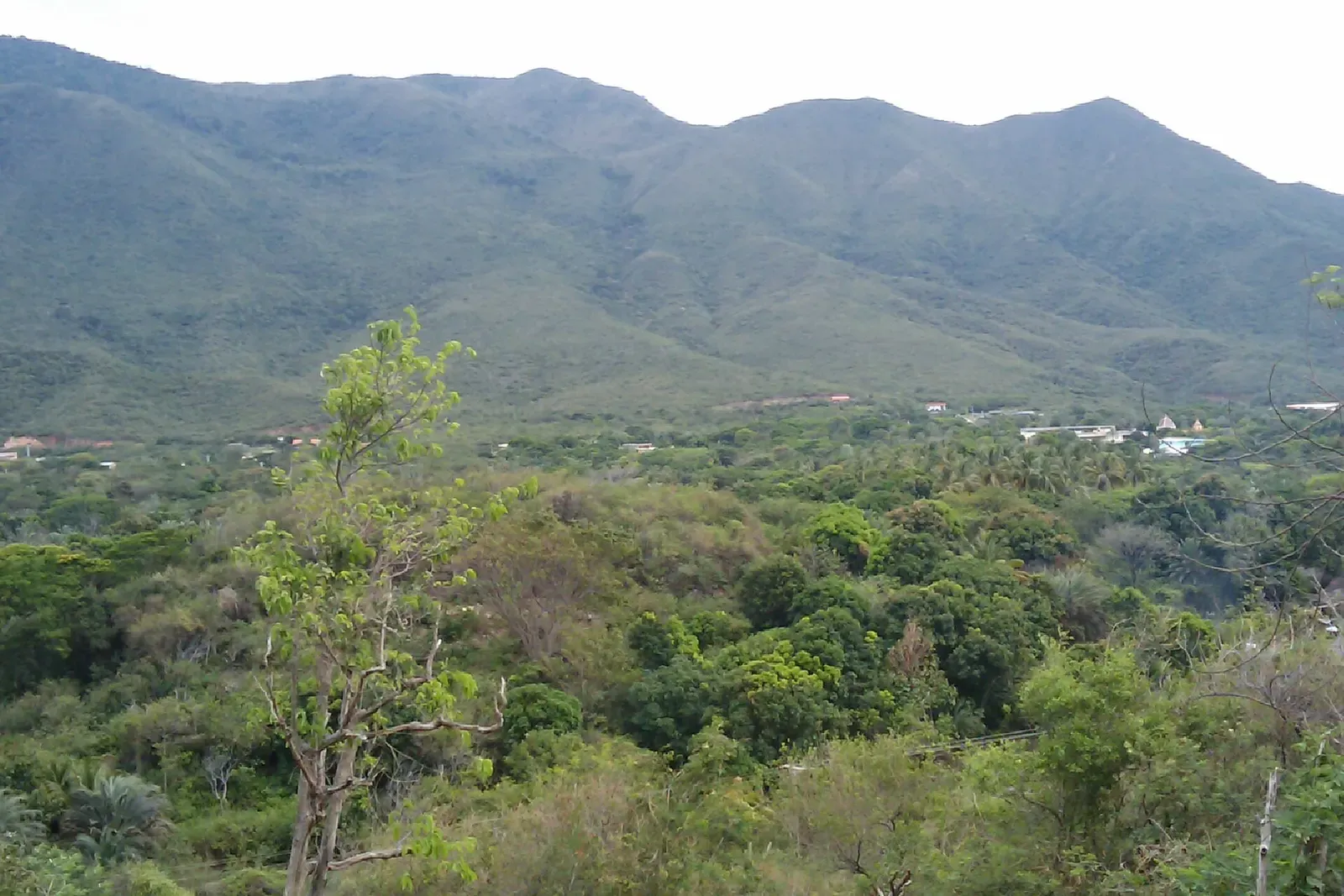 Cerro El Copey, Isla de Margarita