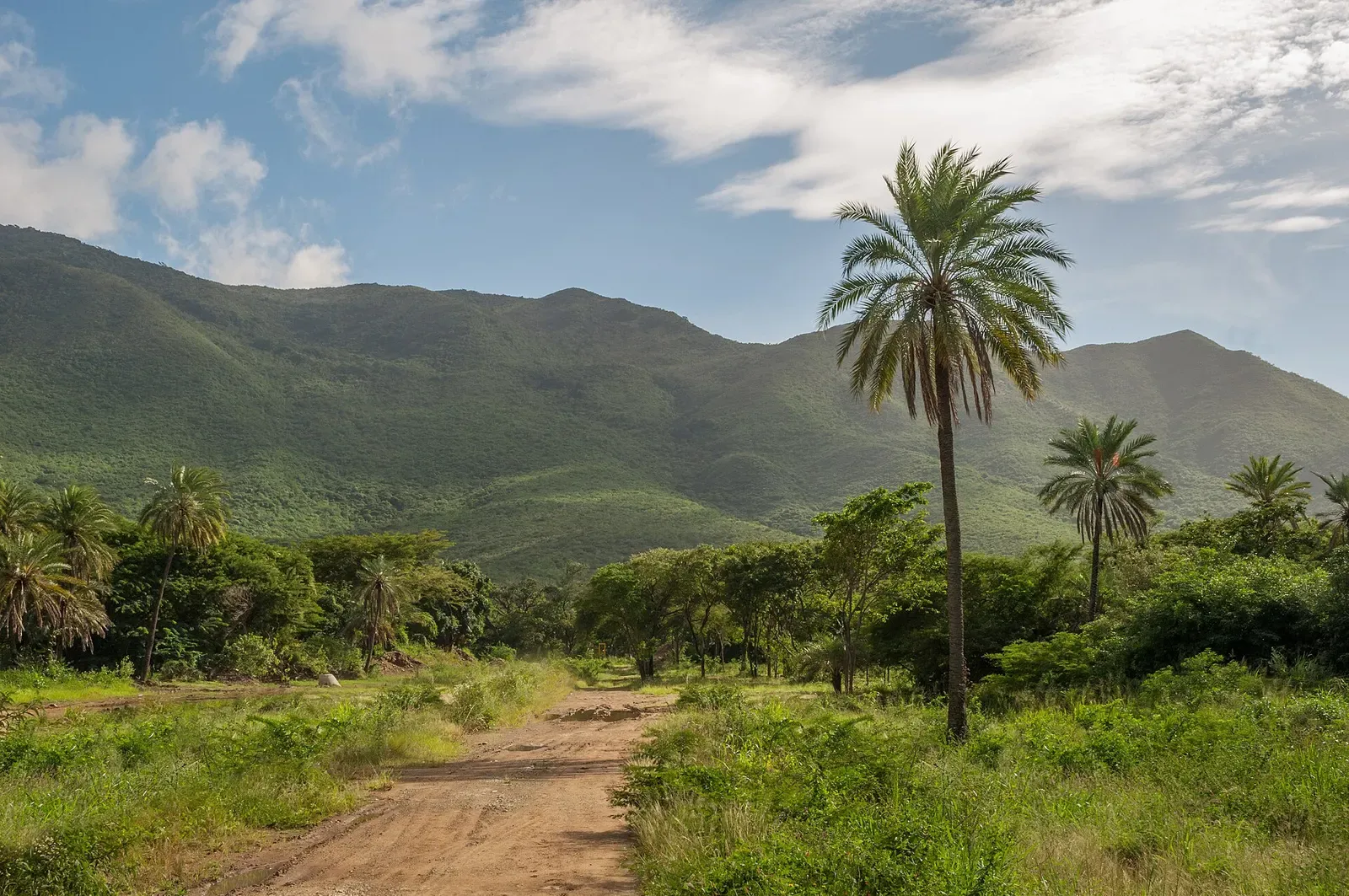 Cerro El Copey, Isla de Margarita