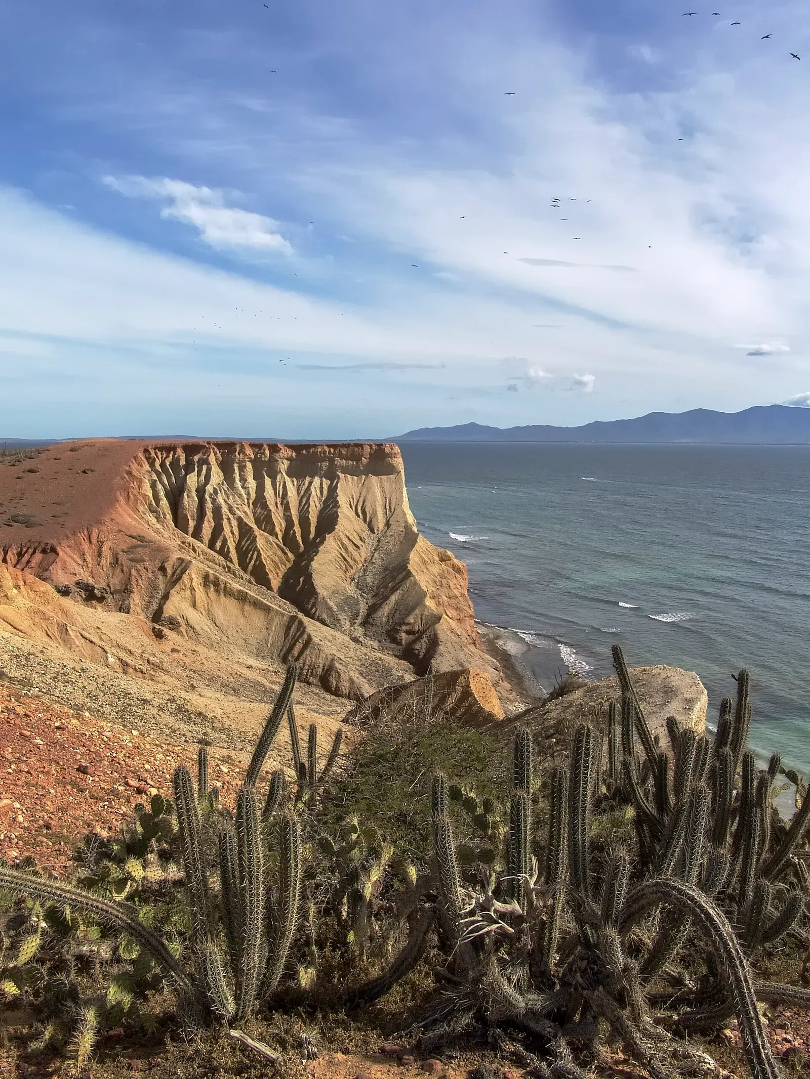 Isla de Coche, Isla de Margarita