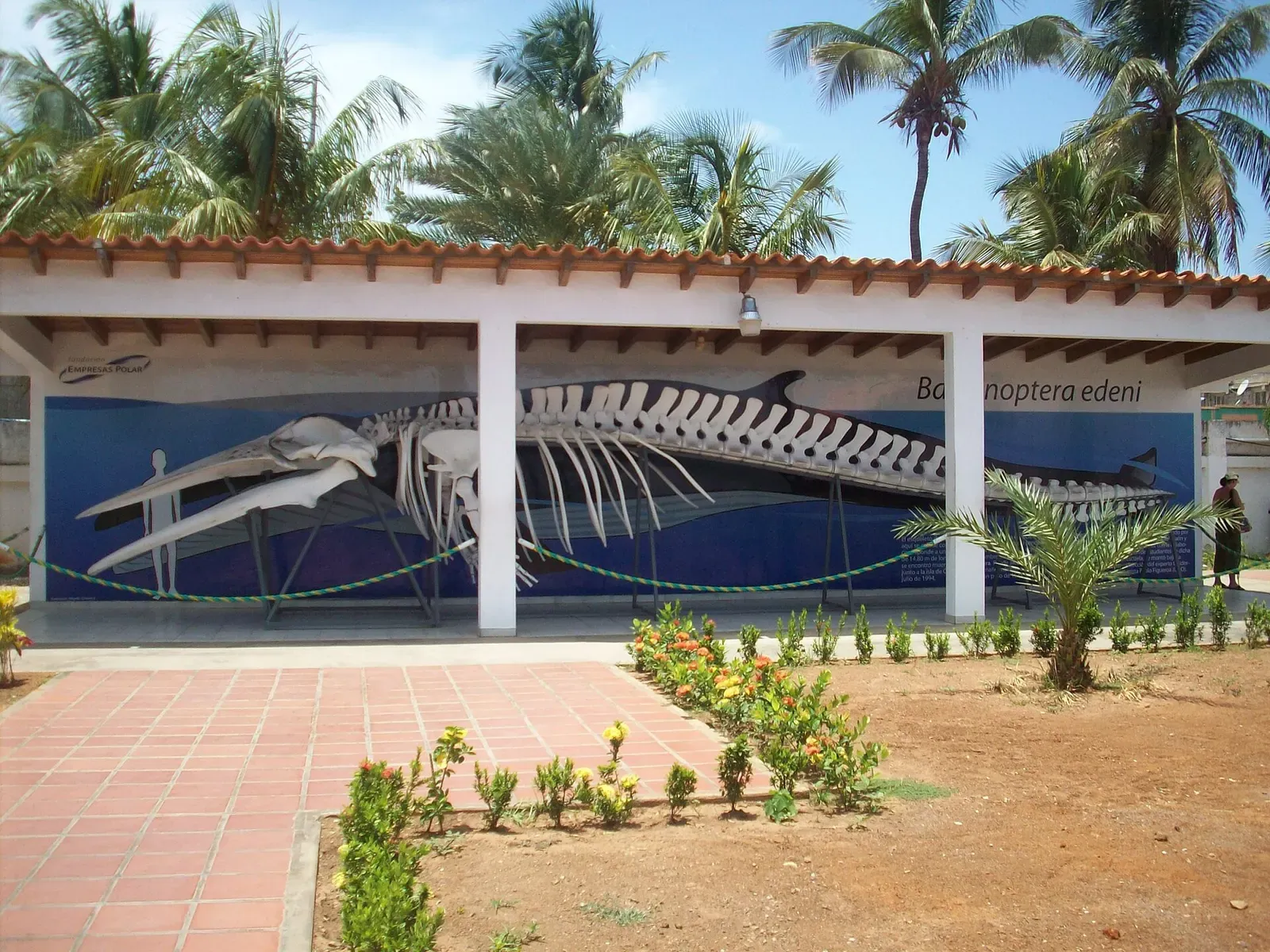 Museo Marino de Margarita, Isla de Margarita