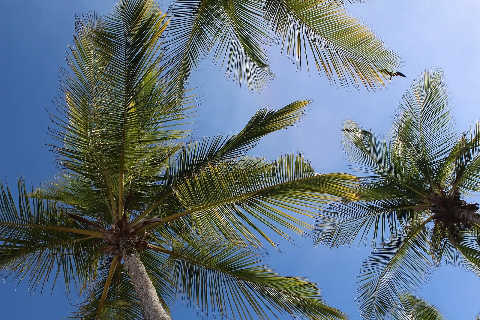 Playa Parguito, Isla de Margarita